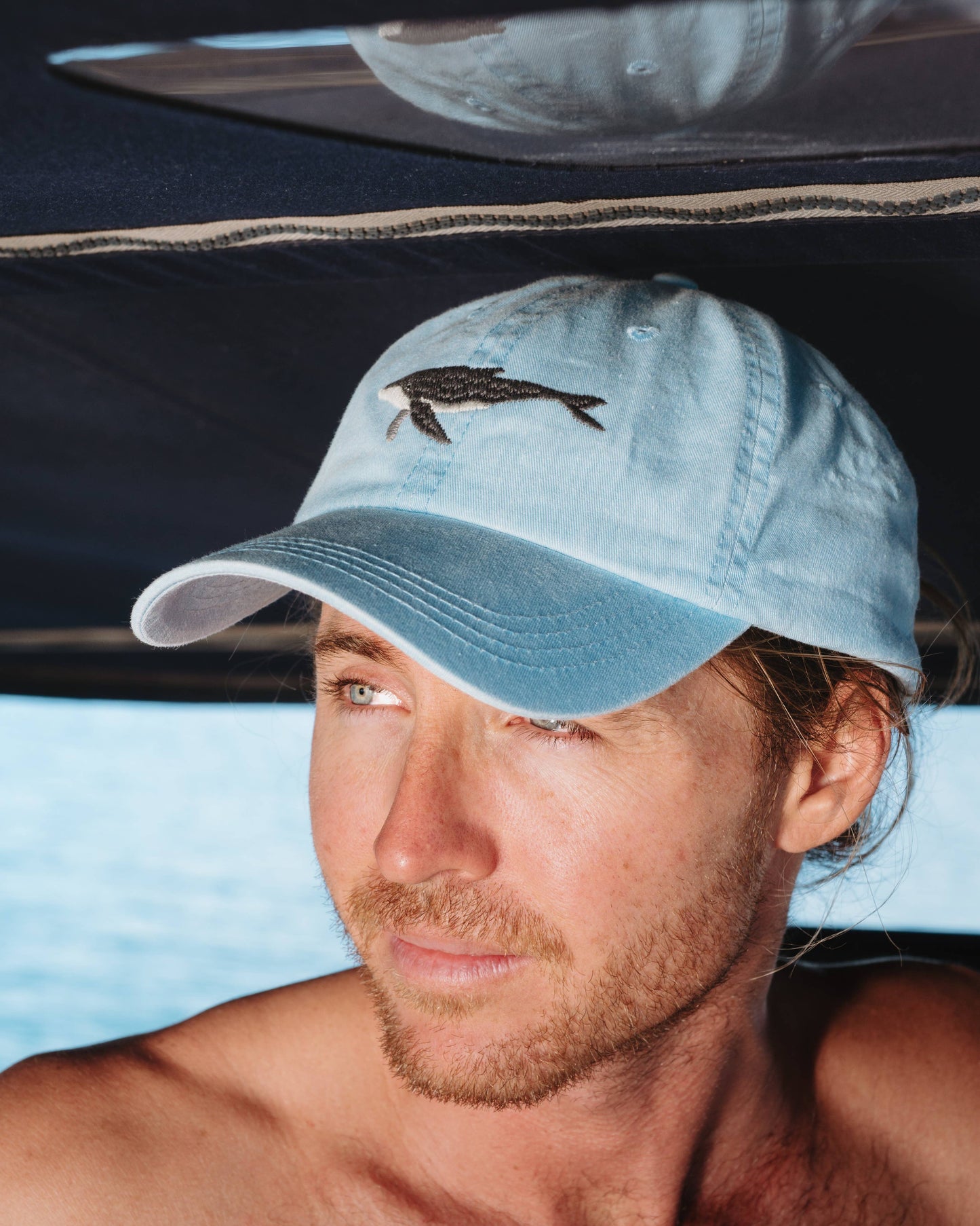 Humpback Whale Fish Lid | Cotton Dad Cap in Blue