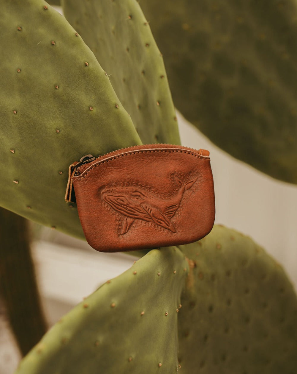 Pixie Pouch - Whale