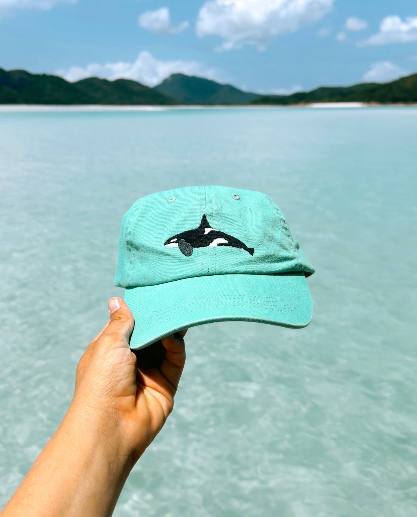 Orca Fish Lid | Cotton Dad Cap in Turquoise