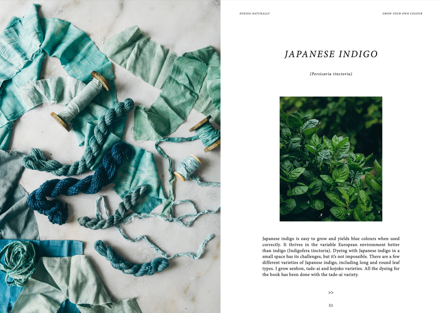 Crafts & Knitting: Dyeing Naturally