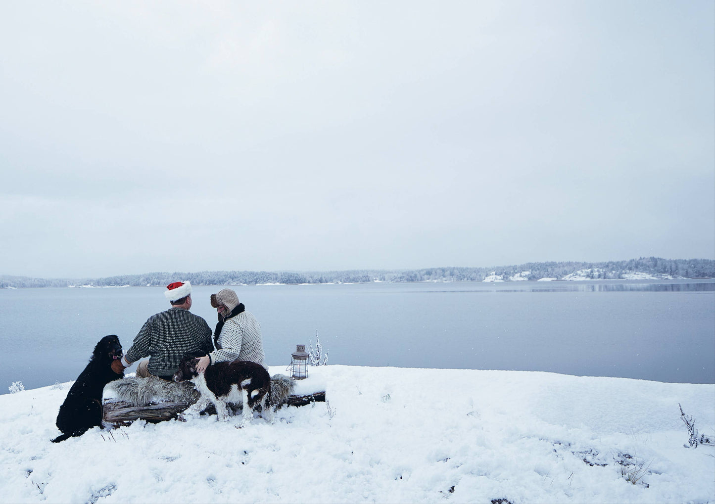 Happy Homes - Merry Christmas