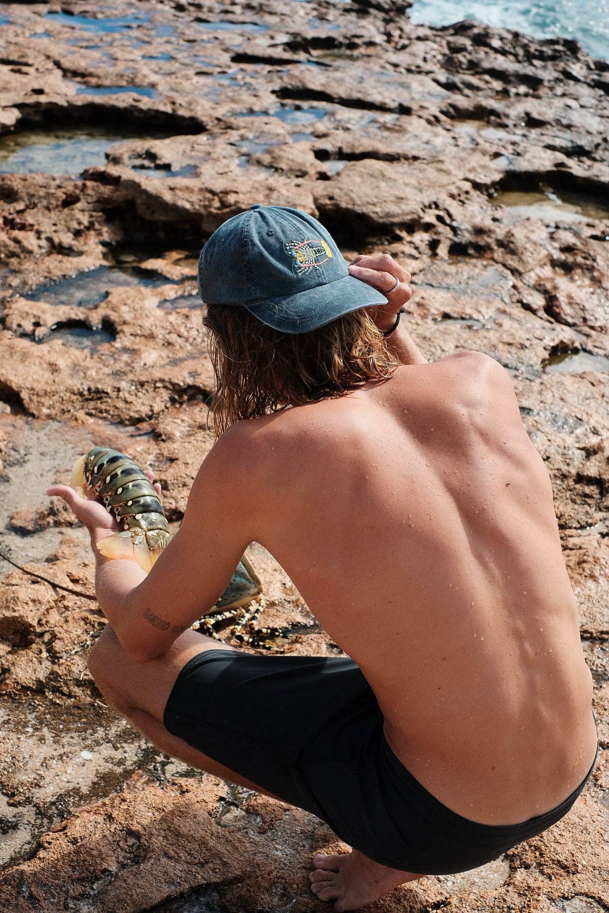 Tropical Rock Lobster Fish Lid | Cotton Dad Cap in Stone