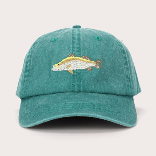 Barramundi Fish Lid | Cotton Dad Cap in Teal