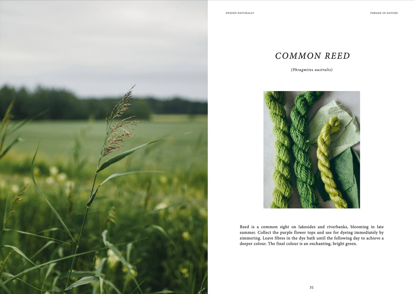 Crafts & Knitting: Dyeing Naturally
