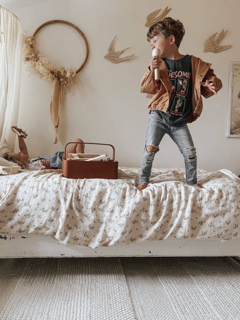 Little Singer Microphone