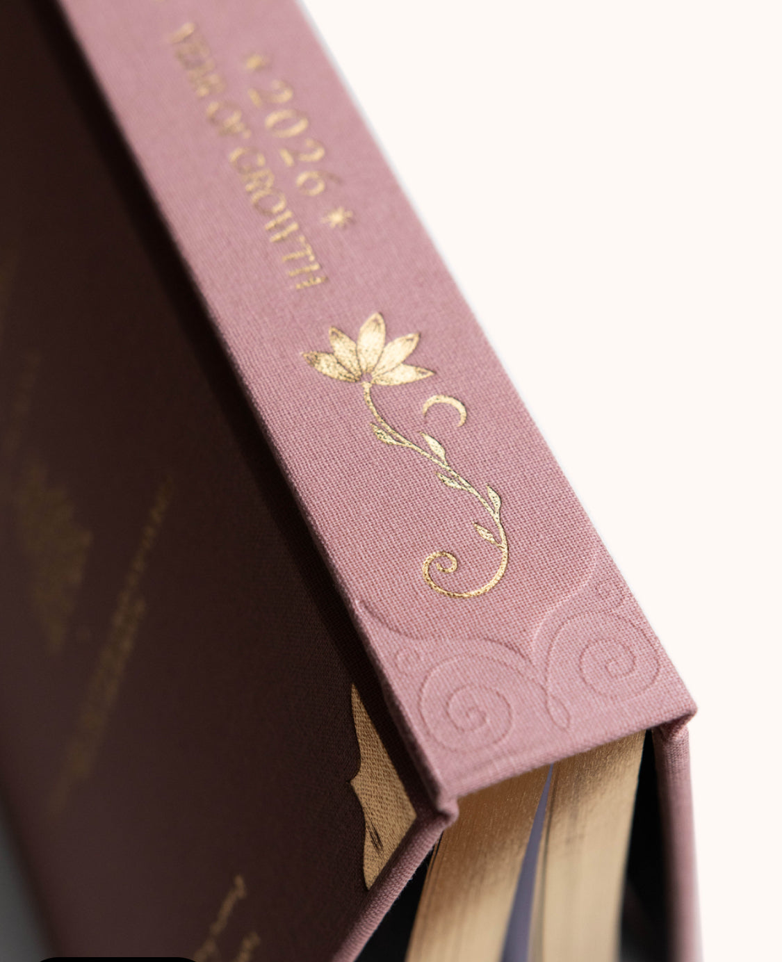 Dreamy Moons Journal