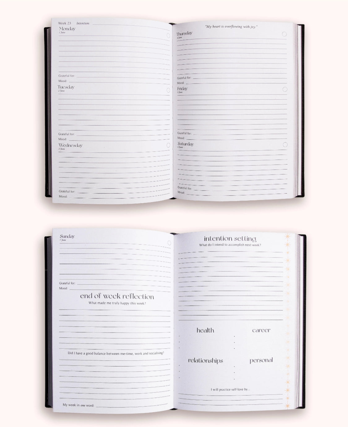 Dreamy Moons Journal