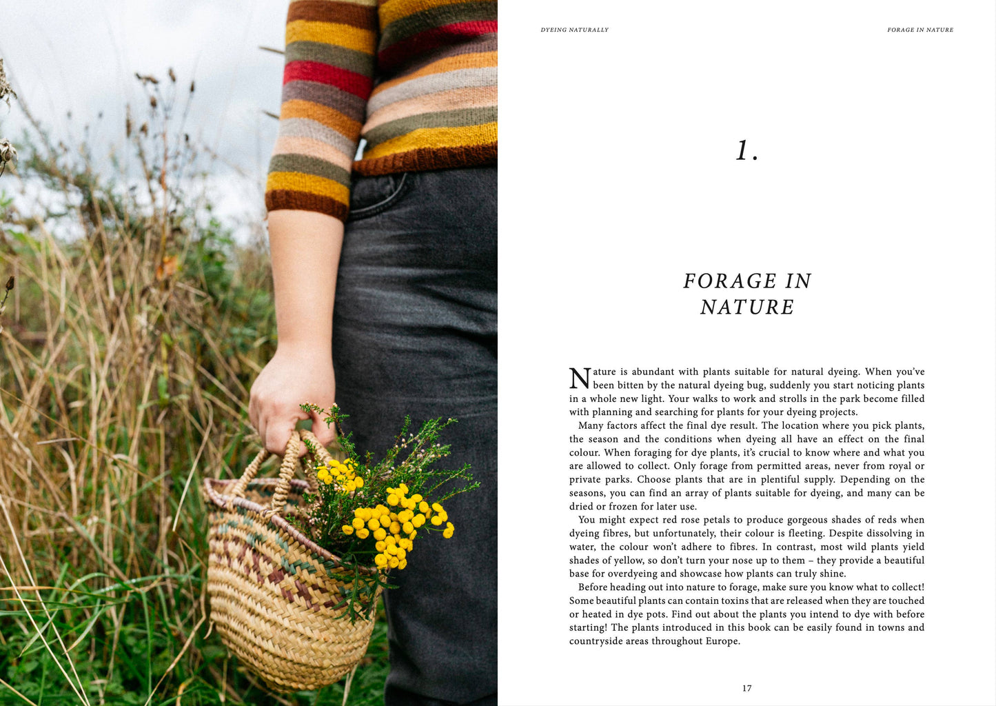 Crafts & Knitting: Dyeing Naturally