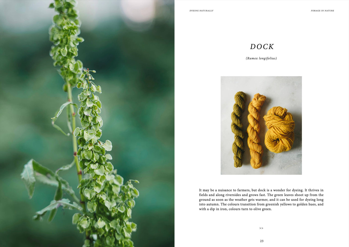 Crafts & Knitting: Dyeing Naturally
