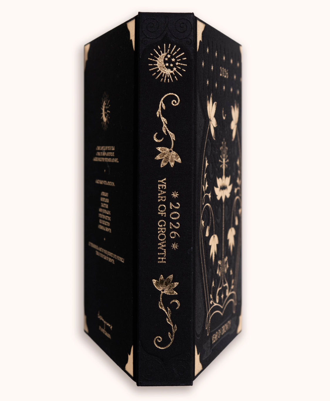 Dreamy Moons Journal