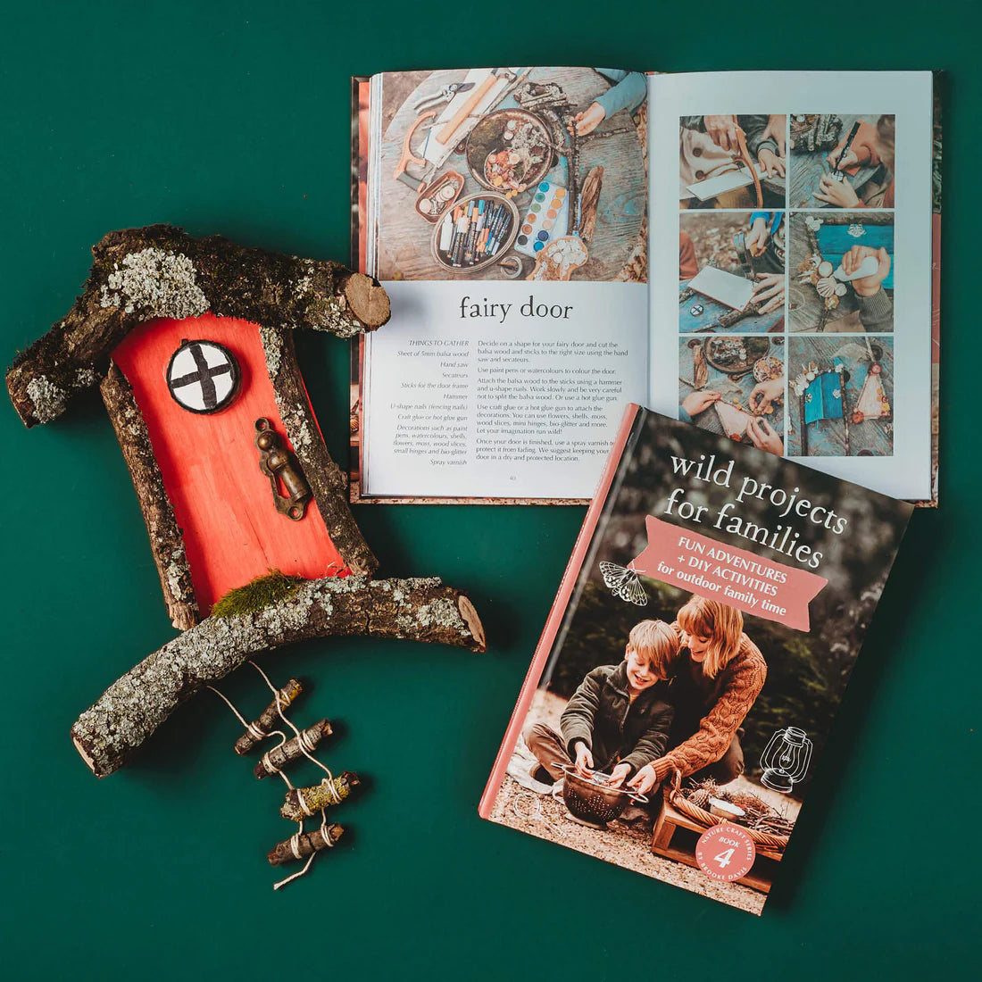 Wild Projects for Families Book