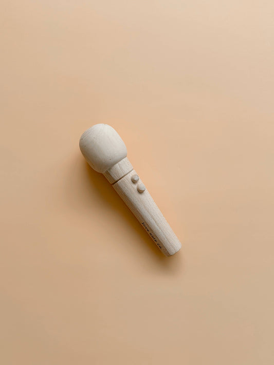 Little Singer Microphone