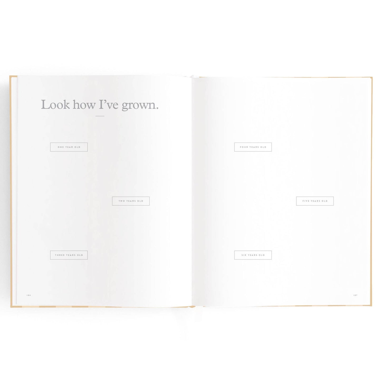 Baby Book Coffee Stripe