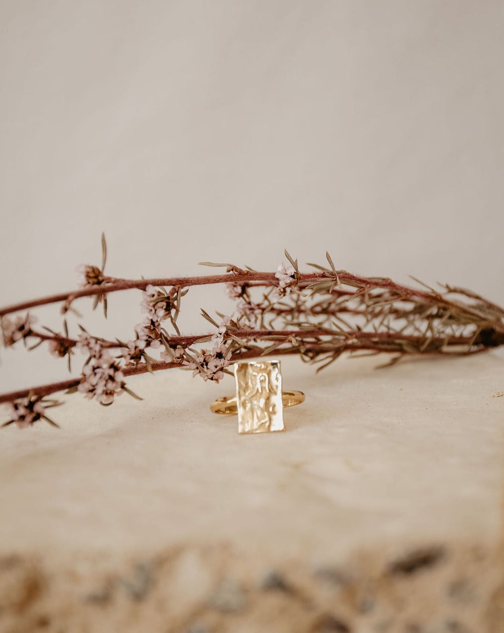 Capricorn Ring