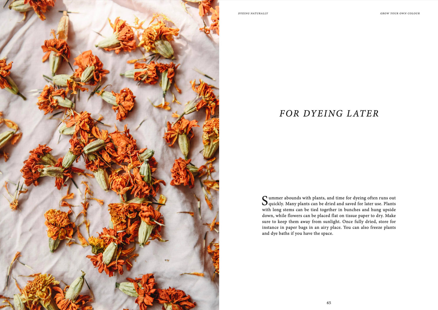 Crafts & Knitting: Dyeing Naturally