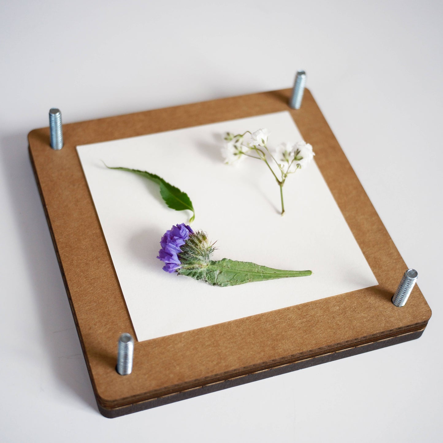 Flower Press Kit - Pressed Floral Accessories