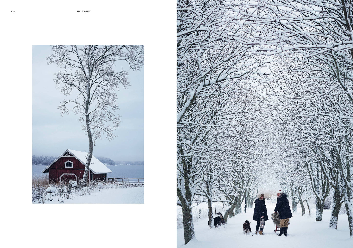 Happy Homes - Merry Christmas