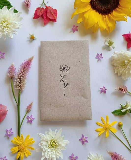 Bee Kind Mix - Wildflower Seeds